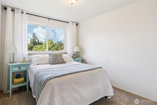 1066 5th St, Sultan, WA 98294 - photo 18