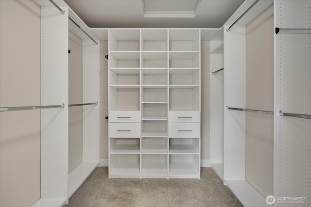 6555 125th Ave NE, Kirkland, WA 98033 - walk in closet with carpet floors
