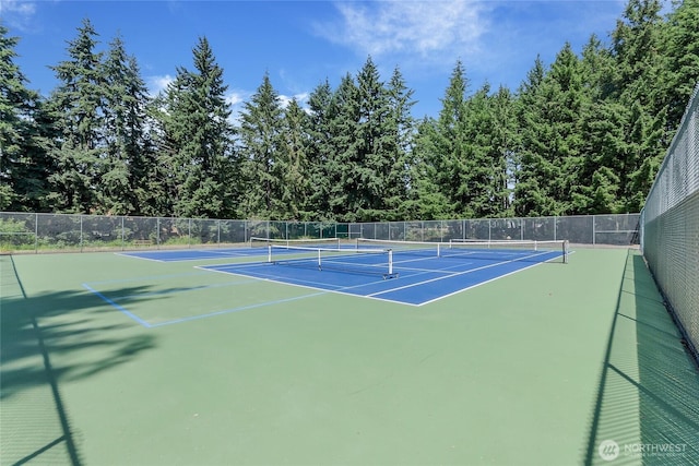 8614 166th Street Ct E, Puyallup, WA 98375 - photo 37
