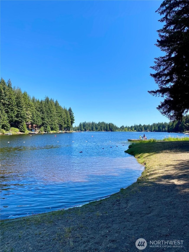 40 E Skywater Pl, Shelton, WA 98584 - water view featuring a forest