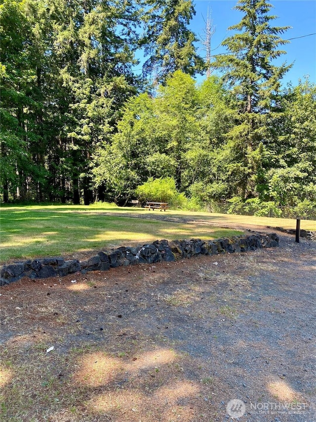 40 E Skywater Pl, Shelton, WA 98584 - view of green lawn
