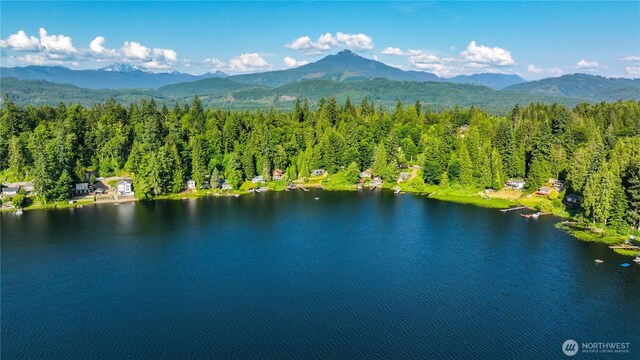 4725 Lerch Rd, Snohomish, WA 98021 - photo 36