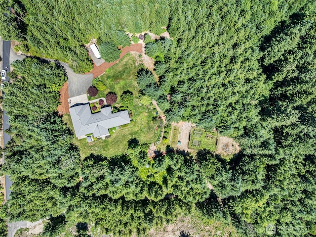 931 SW Moose Hill Ct, Port Orchard, WA 98367 - bird's eye view