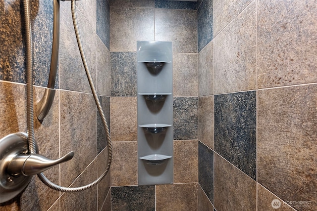 931 SW Moose Hill Ct, Port Orchard, WA 98367 - bathroom view of a tile shower