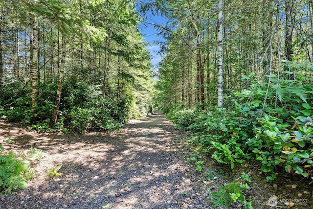 931 SW Moose Hill Ct, Port Orchard, WA 98367 - view of street