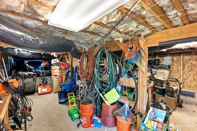 931 SW Moose Hill Ct, Port Orchard, WA 98367 - view of storage area