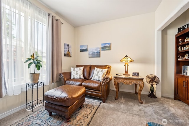 8206 66th Avenue Ct E, Puyallup, WA 98371 - sitting room with carpet floors