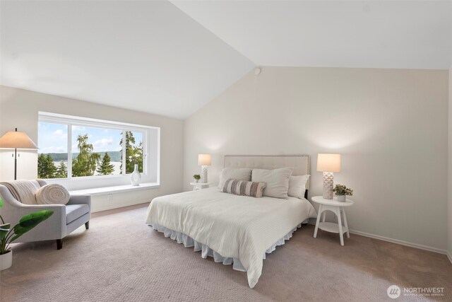 317 39th Avenue Ct NW, Gig Harbor, WA 98335 - photo 25