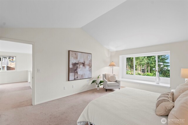 317 39th Avenue Ct NW, Gig Harbor, WA 98335 - photo 26