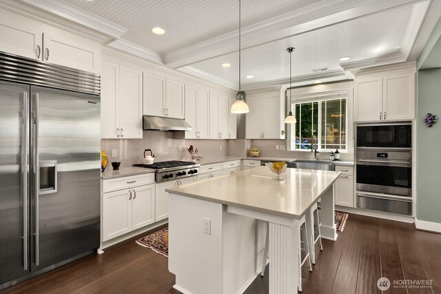 3913 W Briarcliff Ln, Seattle, WA 98199 - kitchen with built in appliances, a warming drawer, under cabinet range hood, dark wood-style flooring, and light countertops