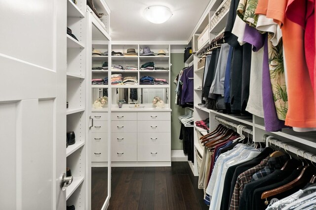 3913 W Briarcliff Ln, Seattle, WA 98199 - spacious closet with dark wood-style floors