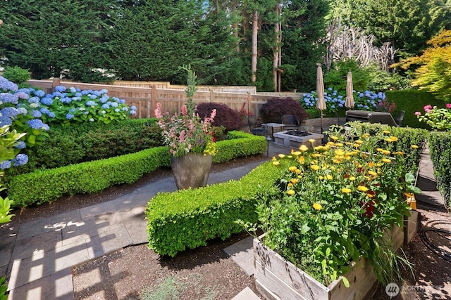 3913 W Briarcliff Ln, Seattle, WA 98199 - view of yard with a fire pit and a vegetable garden