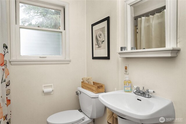 9521 12th Ave NW, Seattle, WA 98117 - photo 18