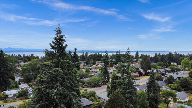 9521 12th Ave NW, Seattle, WA 98117 - photo 36