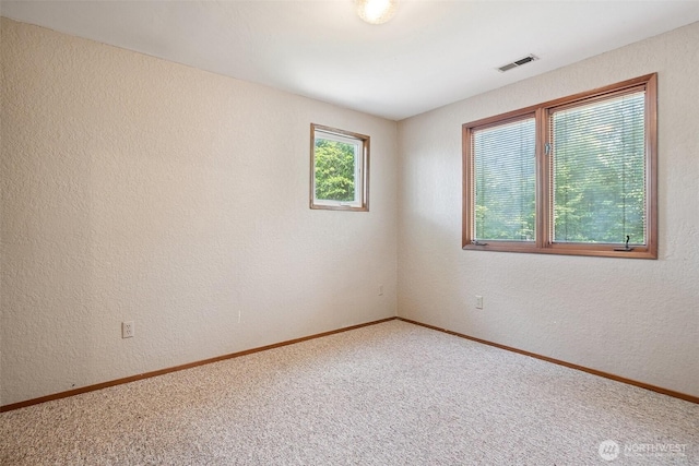 705 Terrace Blvd, Shelton, WA 98584 - photo 19