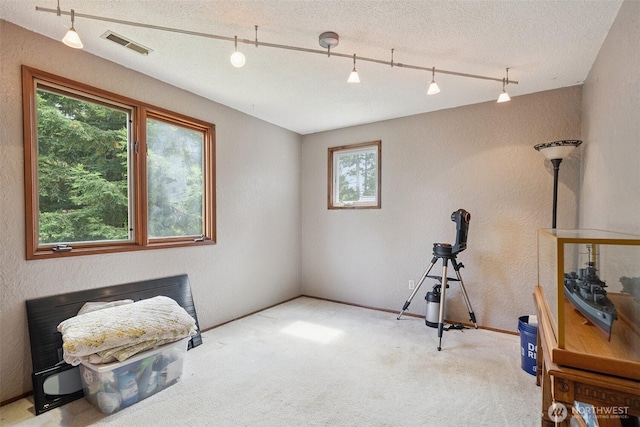705 Terrace Blvd, Shelton, WA 98584 - photo 23