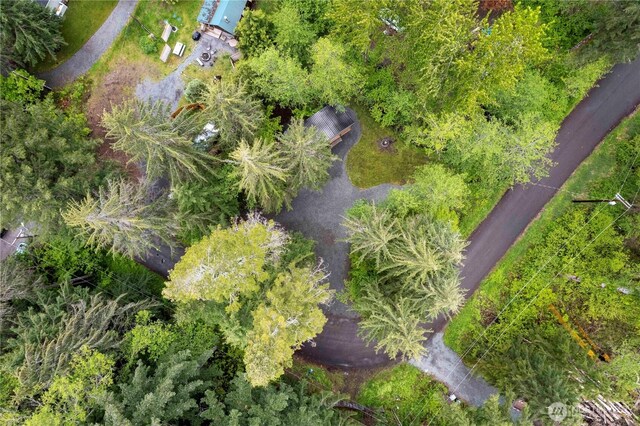 34208 343rd Avenue Ct E, Ashford, WA 98304 - photo 4