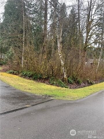 16007 Shuksan Rim Dr, Glacier, WA 98244