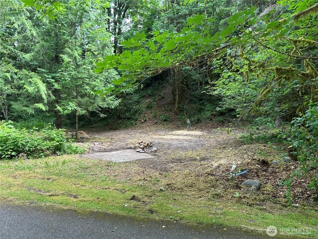 16017 Glacier Rim Dr, Glacier, WA 98244 - photo 3