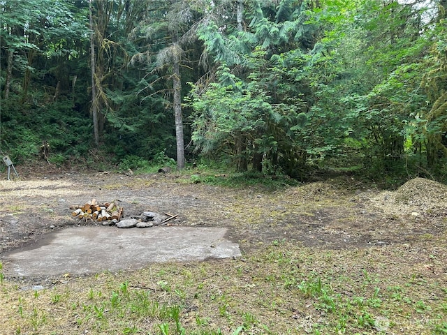 16017 Glacier Rim Dr, Glacier, WA 98244 - photo 2