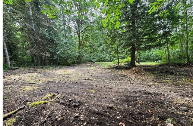 16017 Glacier Rim Dr, Glacier, WA 98244 - photo 5