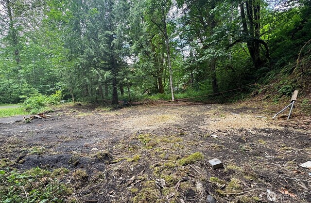 16017 Glacier Rim Dr, Glacier, WA 98244 - photo 6