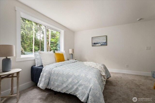 8038 Island Ct, Clinton, WA 98236 - photo 15