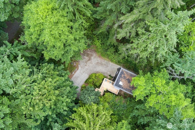 8038 Island Ct, Clinton, WA 98236 - photo 19