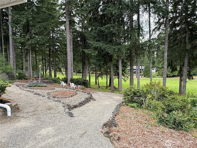 51 E Dunoon Pl, Shelton, WA 98584 - photo 4