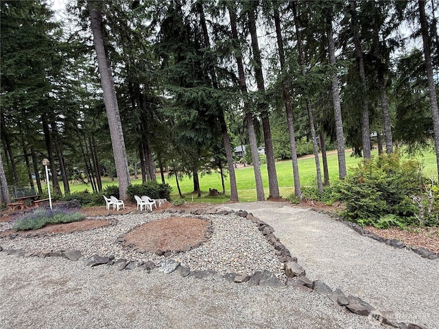 51 E Dunoon Pl, Shelton, WA 98584 - photo 5