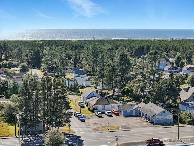 1205 49th St, Seaview, WA 98644 - aerial perspective of suburban area featuring a heavily wooded area