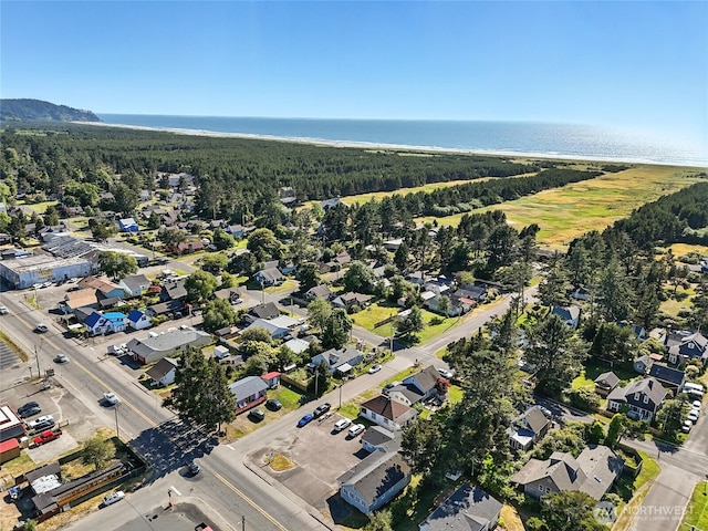 1205 49th St, Seaview, WA 98644 - bird's eye view of a heavily wooded area