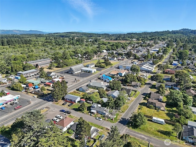 1205 49th St, Seaview, WA 98644 - drone / aerial view of a heavily wooded area