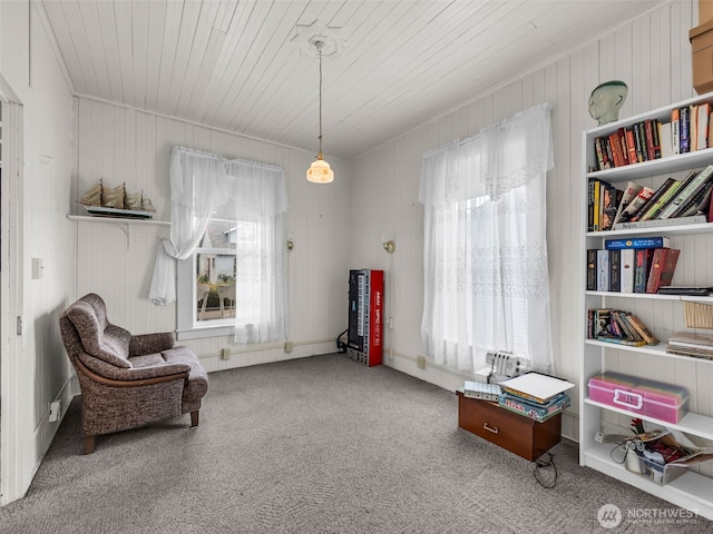 1205 49th St, Seaview, WA 98644 - photo 10