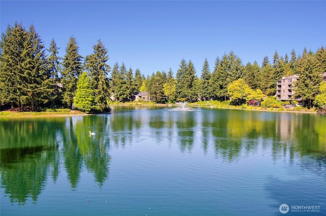 6347 137th Ave NE Unit 262, Redmond, WA 98052 - water view