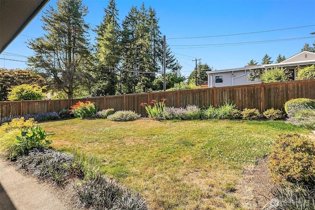 13316 30th Ave NE, Seattle, WA 98125 - view of fenced backyard