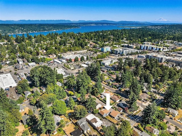 13316 30th Ave NE, Seattle, WA 98125 - aerial view of property's location with a water and mountain view and a forest