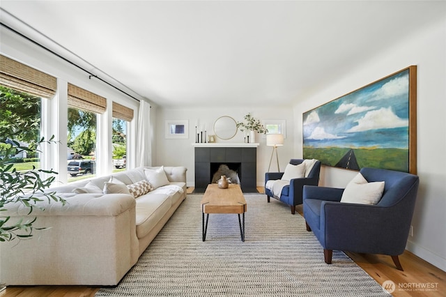 533 Craig St, Walla Walla, WA 99362 - living area featuring a fireplace and wood finished floors