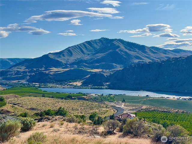 220 Ridge Rd, Orondo, WA 98843