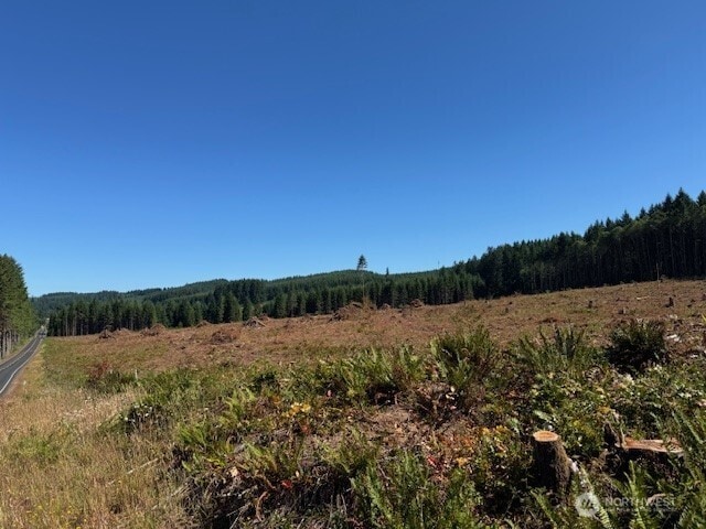 0 Nelson Rd, Winlock, WA 98596 - photo 5