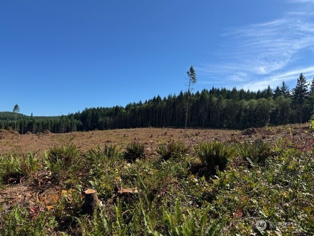 0 Nelson Rd, Winlock, WA 98596 - photo 9