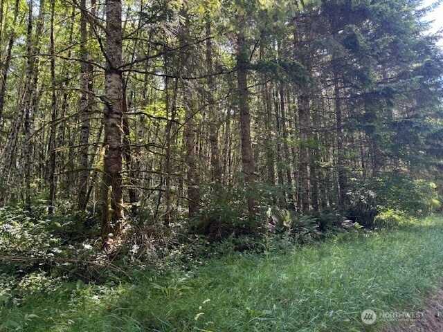 0 Nelson Rd, Winlock, WA 98596 - photo 3