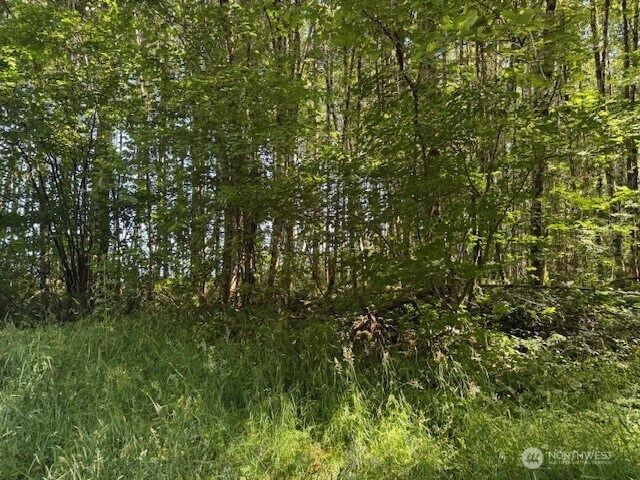 0 Nelson Rd, Winlock, WA 98596 - photo 4