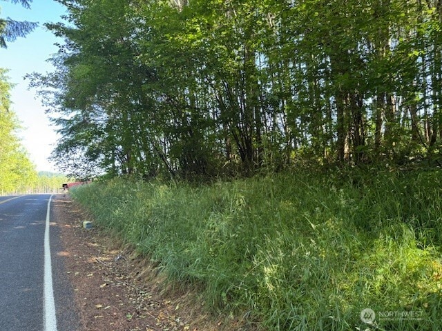 0 Nelson Rd, Winlock, WA 98596 - photo 6