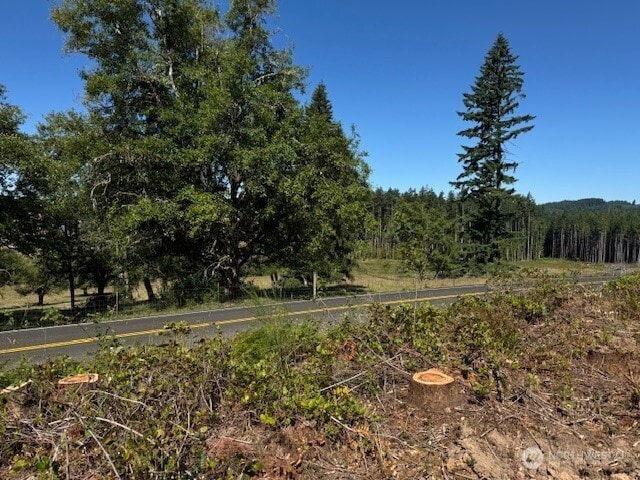 0 Nelson Rd, Winlock, WA 98596 - photo 7