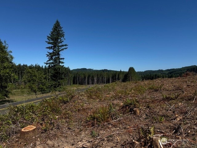0 Nelson Rd, Winlock, WA 98596 - photo 11