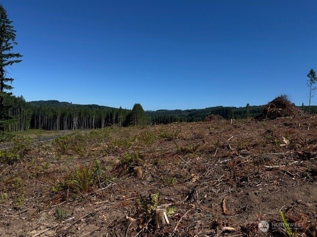 0 Nelson Rd, Winlock, WA 98596 - photo 12