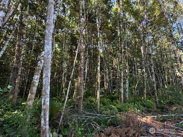 0 Nelson Rd, Winlock, WA 98596 - photo 10