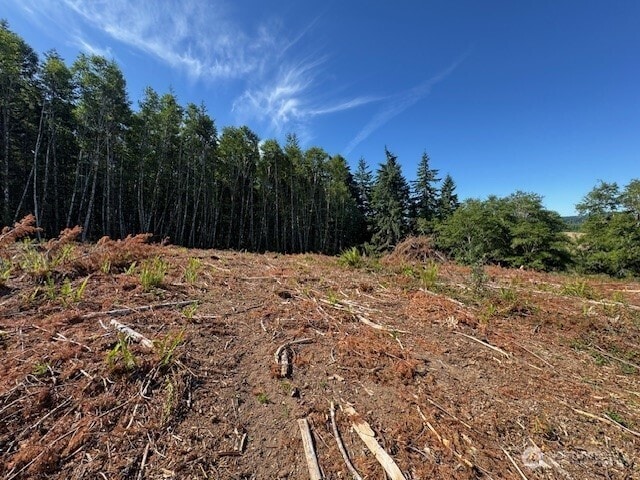 0 Nelson Rd, Winlock, WA 98596 - photo 14