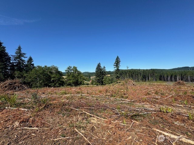 0 Nelson Rd, Winlock, WA 98596 - photo 15